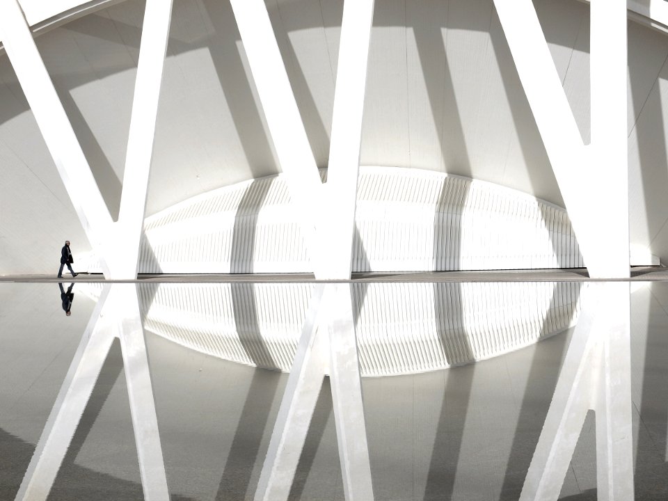 CIUDAD DE LAS ARTES Y LAS CIENCIAS