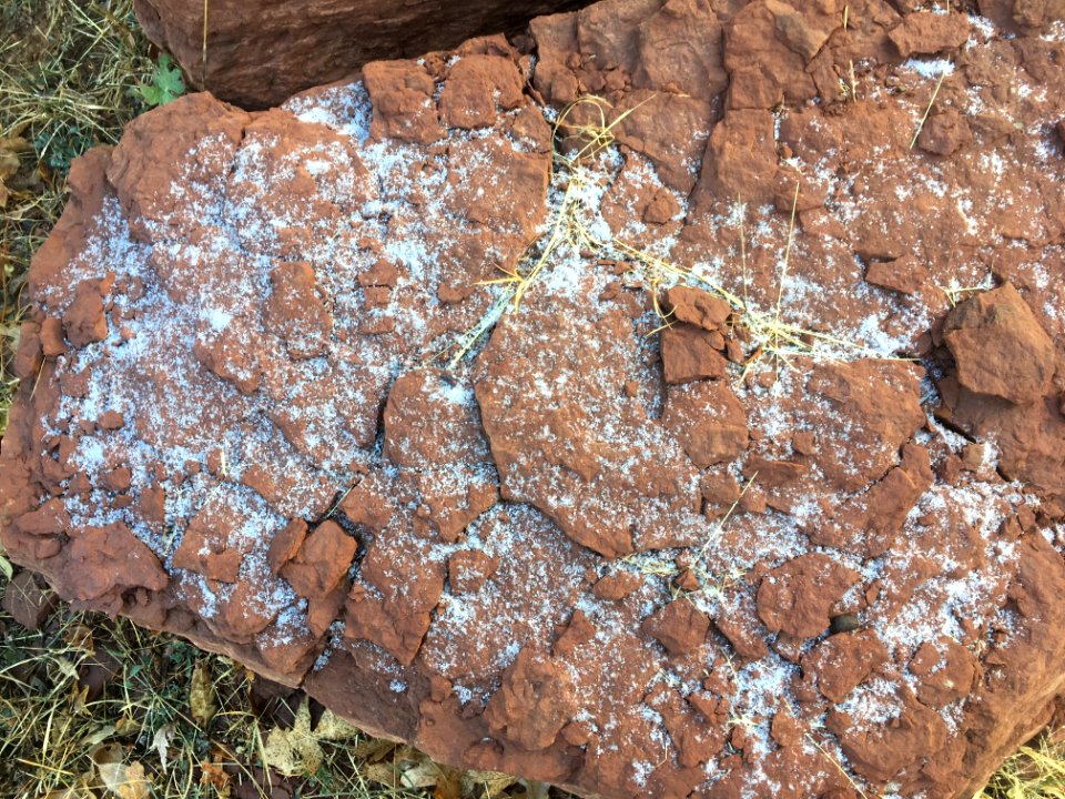 Biggest Snow Accumulation All Season
