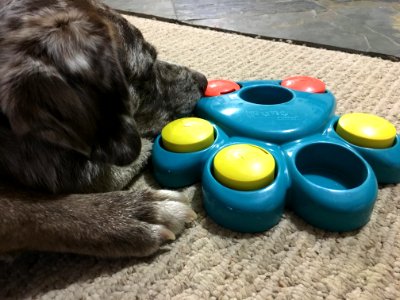This New Toy Sort of Works as a Pillow...