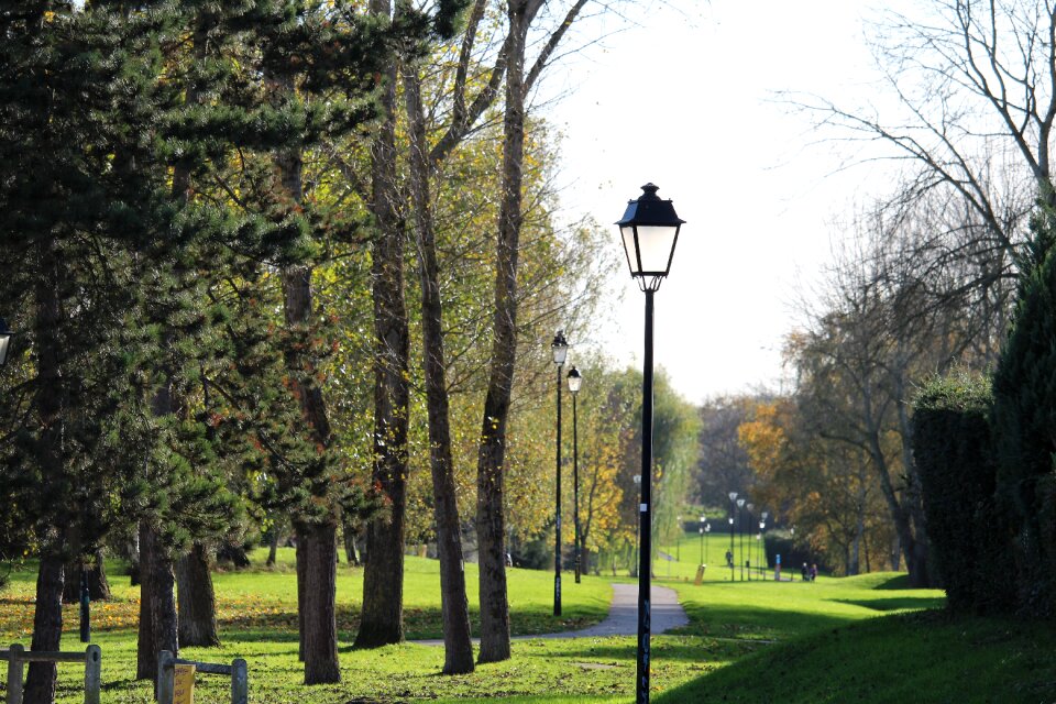 Green park based photo