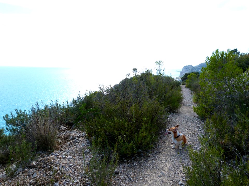 Sun hiking in Garraf