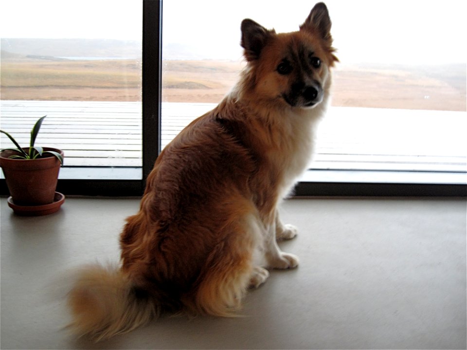 Can We Go Out in the Rain?