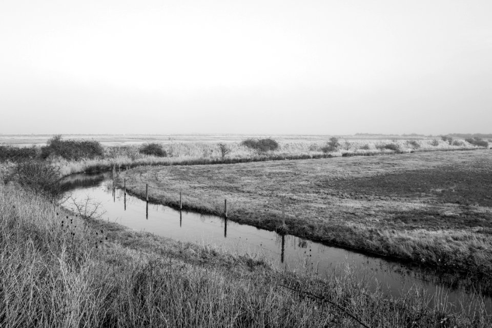 Cliffe, Isle of Grain