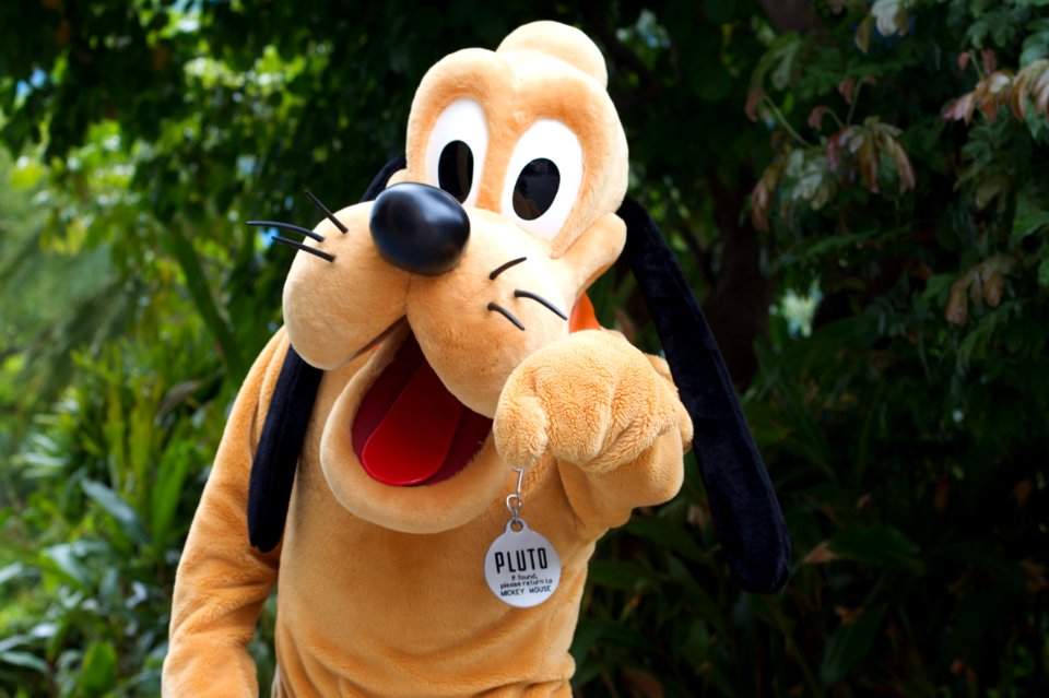 2010/365/162 Pluto Wants YOU