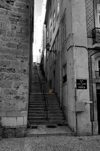 Alley stairs balloons