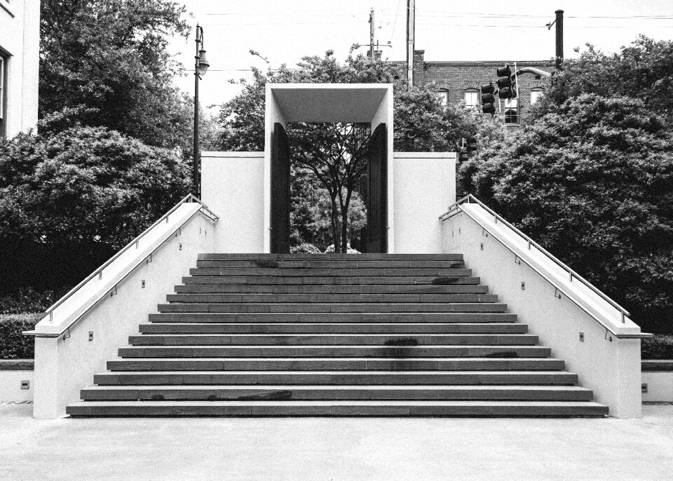 Entrance city trees