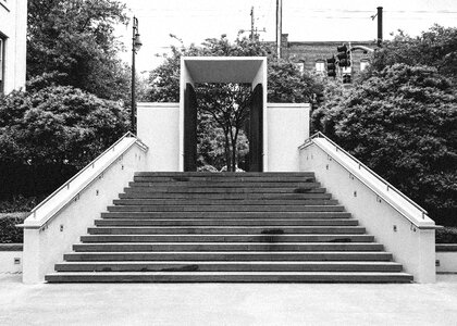 Entrance city trees
