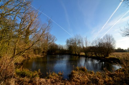 Harlow walk photo