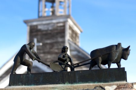 Hardy Pioneers