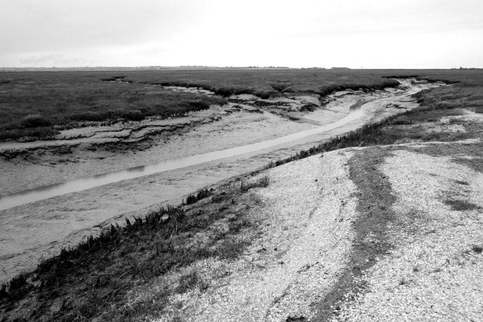 Isles of Sheppey and Harty, Kent