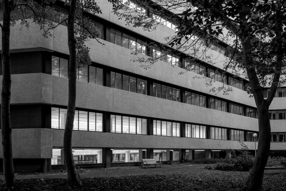 Ypsilon Park, Floris Grijpstraat (II)
