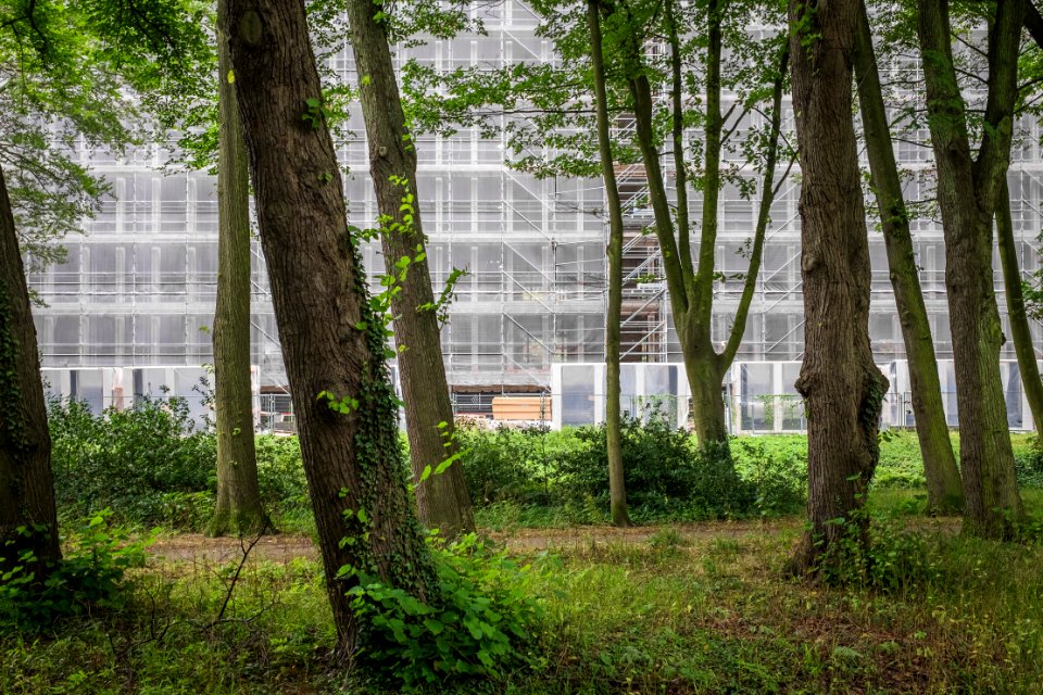 Goetlijfpad, Den Haag
