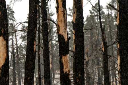 20181207-FS-APACHE-SITGREAVES-LSC-0448