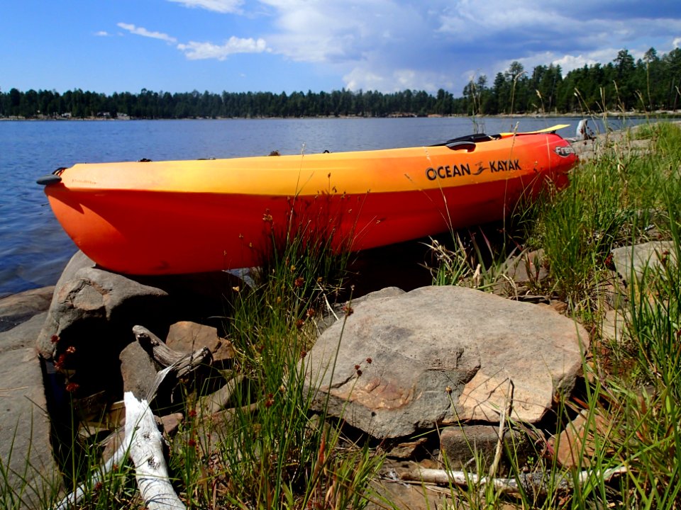 Time to Paddle!