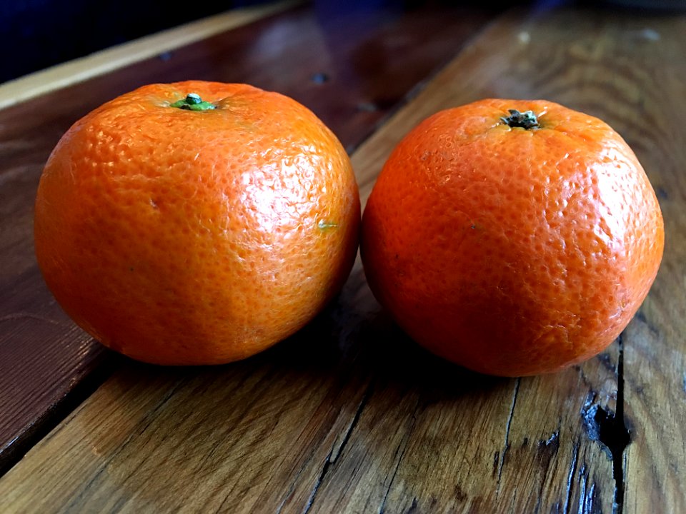 2019/365/47 Orange We Nice Together?