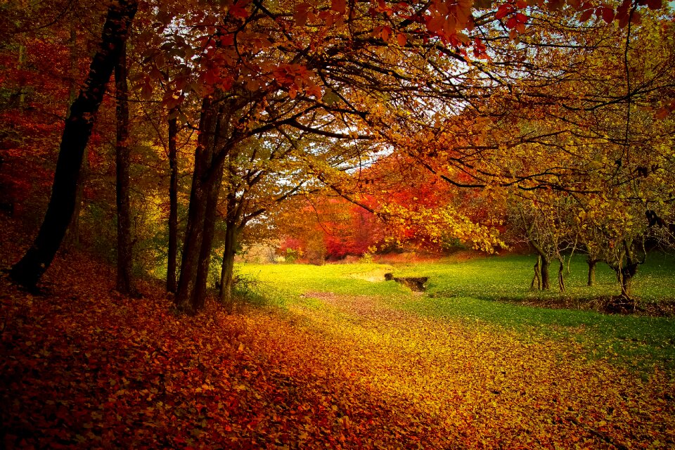 Nature fall landscape photo