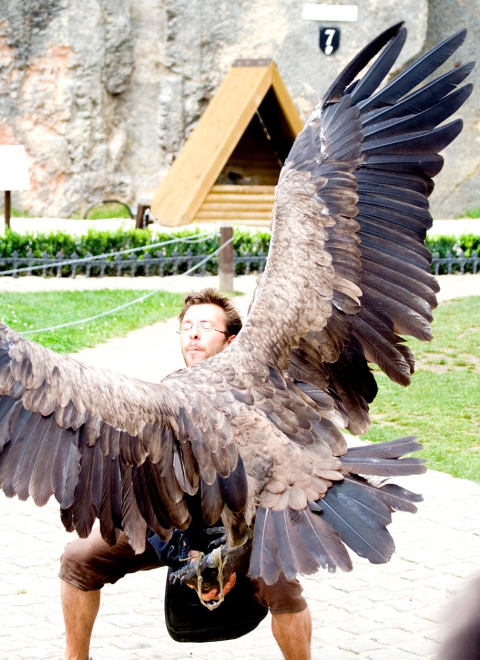Condor01