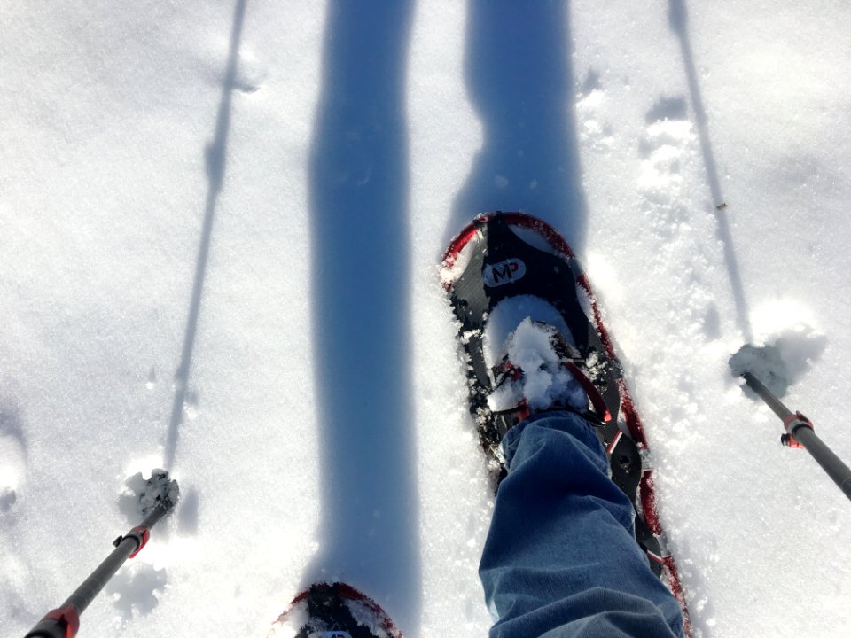Testing the Snow Shoes