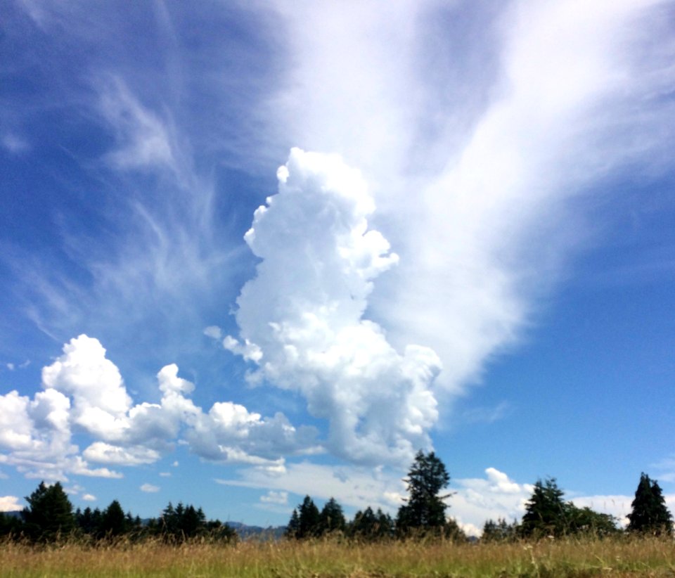 clouds