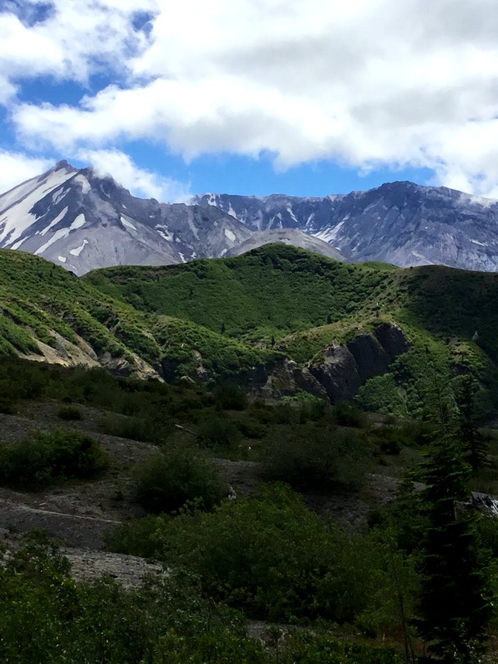 Mt. St. Helens in summer