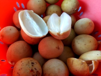 Lansi-Beeren