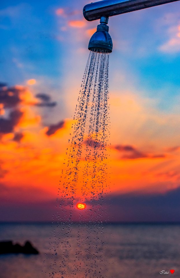 The shower