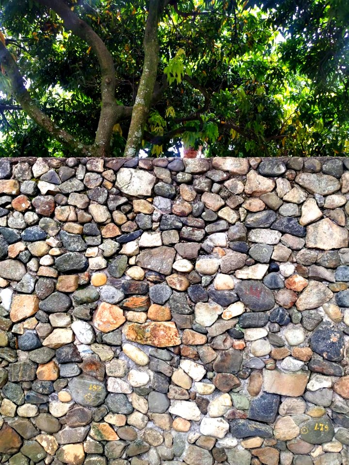 Lineas organicas.