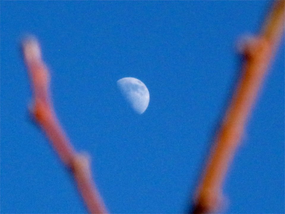 2009/365/34: From Here to the Moon