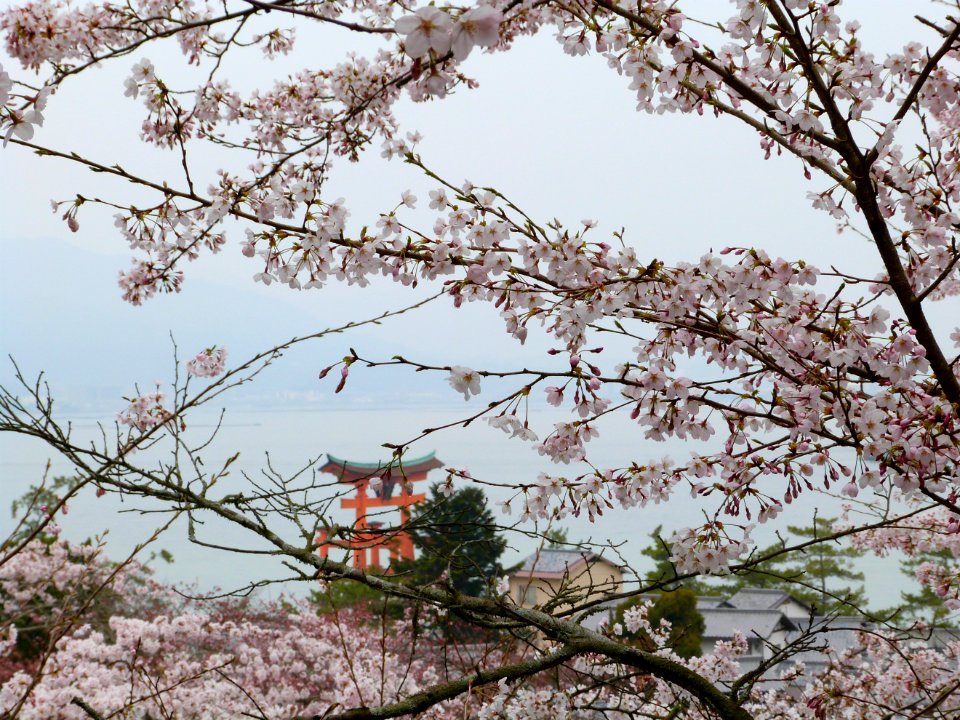 Kyoto day 4: Hiroshima, Miyajima