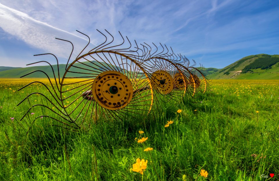 Ranghinatore  di Castelluccio