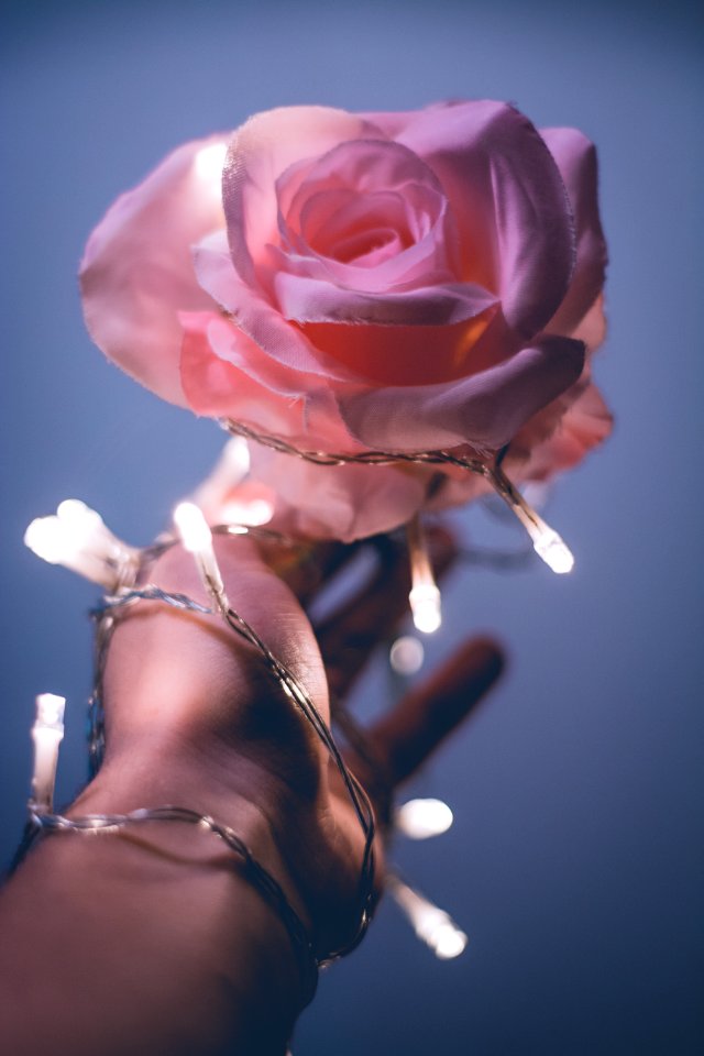 stuck flower