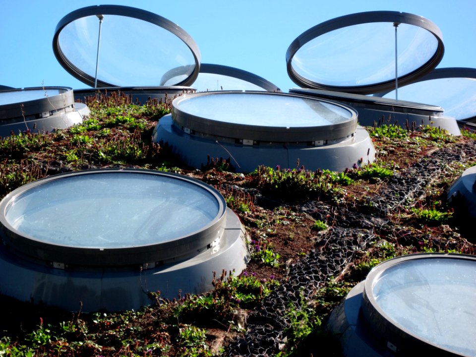 Open Hatches on The Green Roof