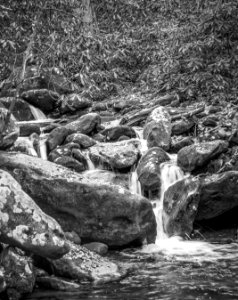 Living the Stream