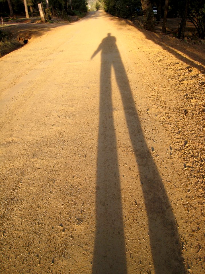 Long Tall Alien