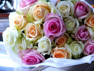 Bouquet roses mixed colors