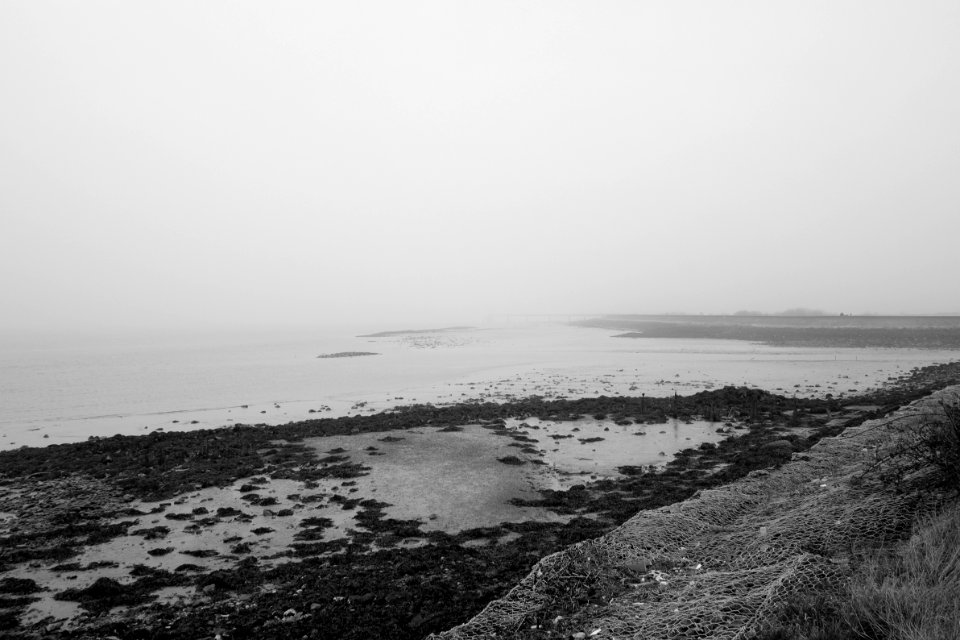 The Lower Hope
