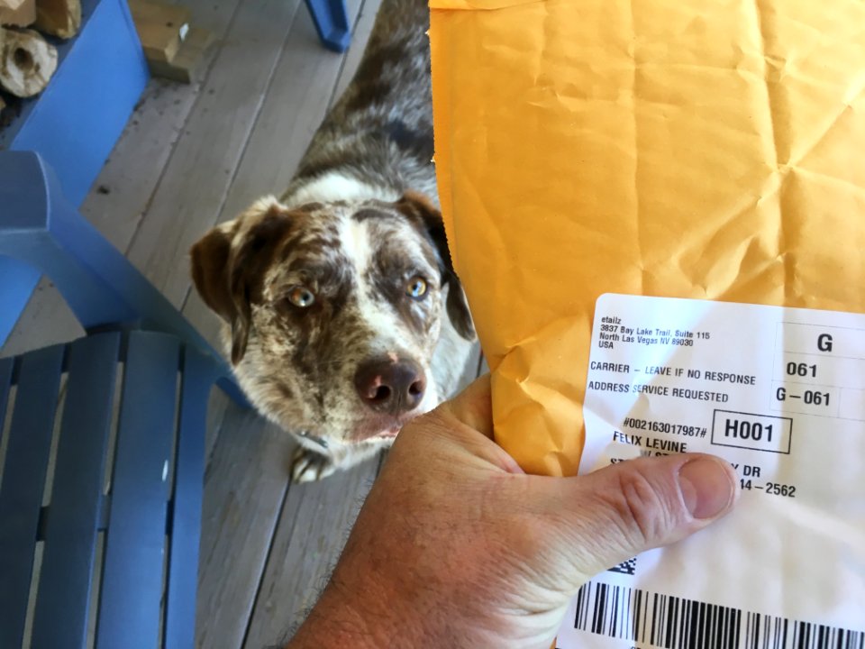 Felix You Have Mail!