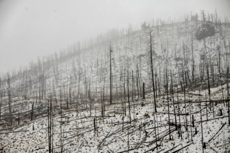 20181207-FS-APACHE-SITGREAVES-LSC-0548