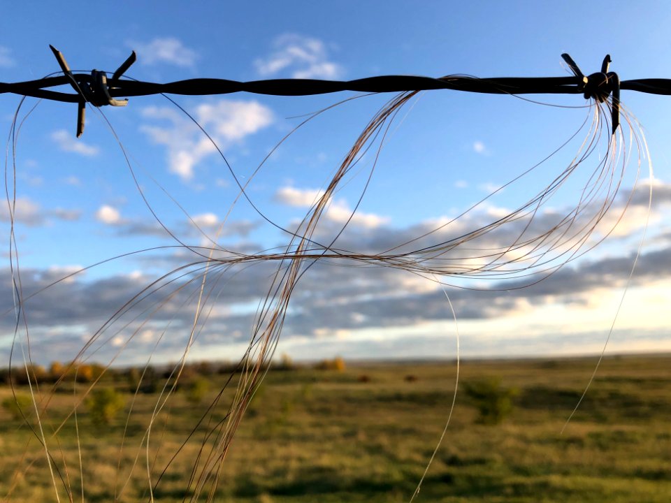 2019/365/264 Threads in the Wire
