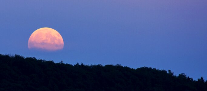 Moon night twilight photo