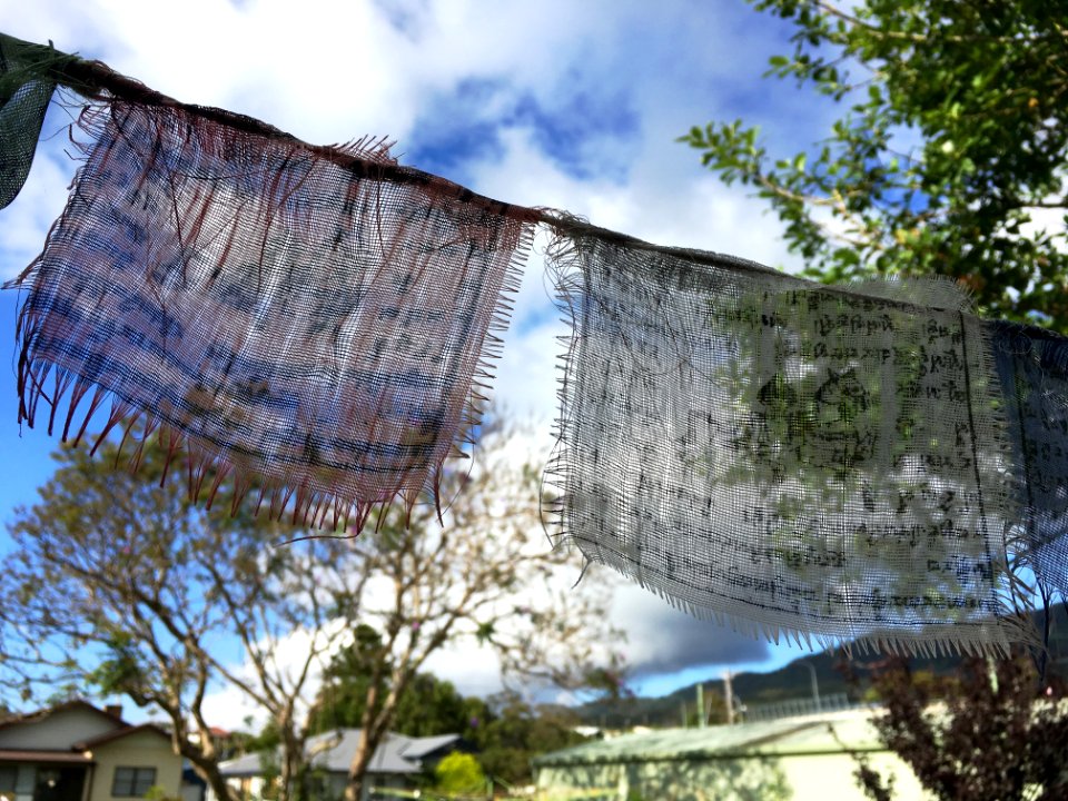 Memories for Thirroul