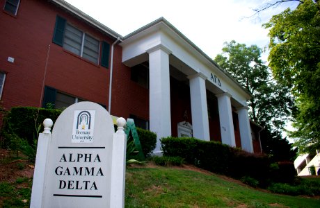 Alpha Gamma Delta detail