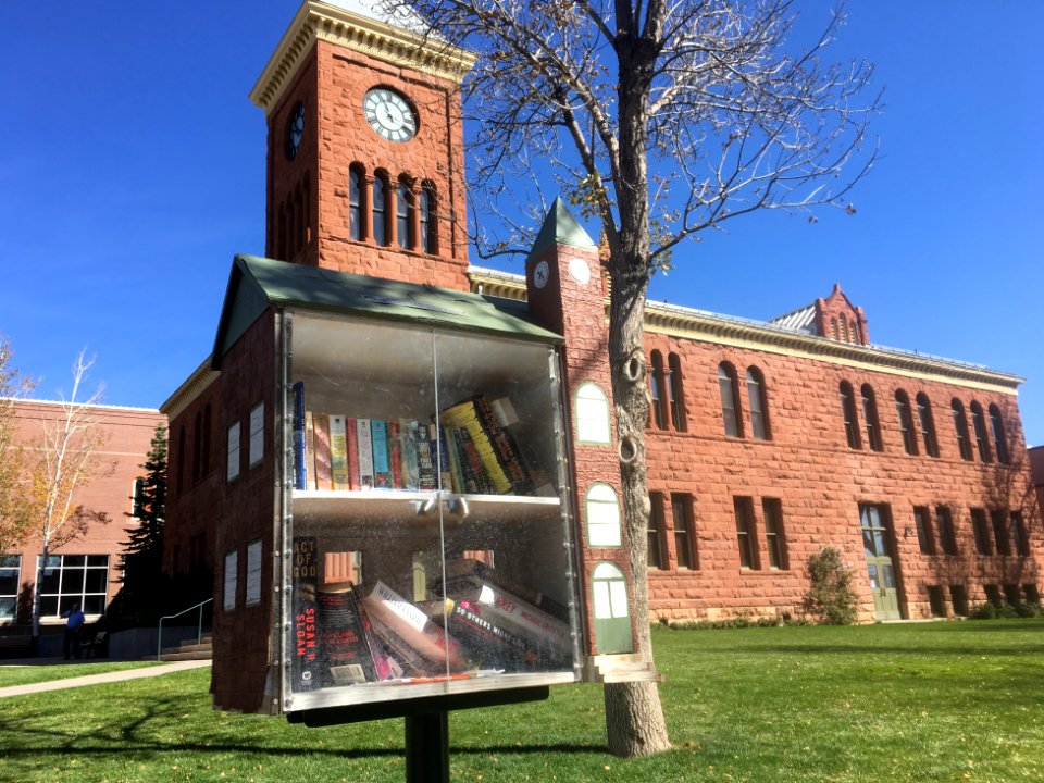 Little Free Library To Scale