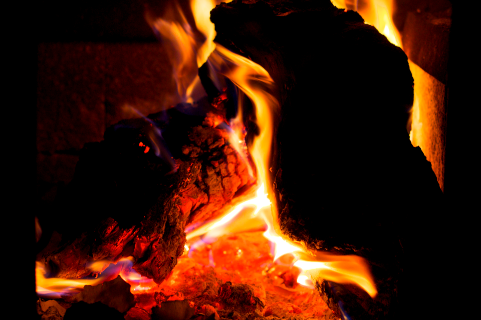 Fire as a Living Thing
