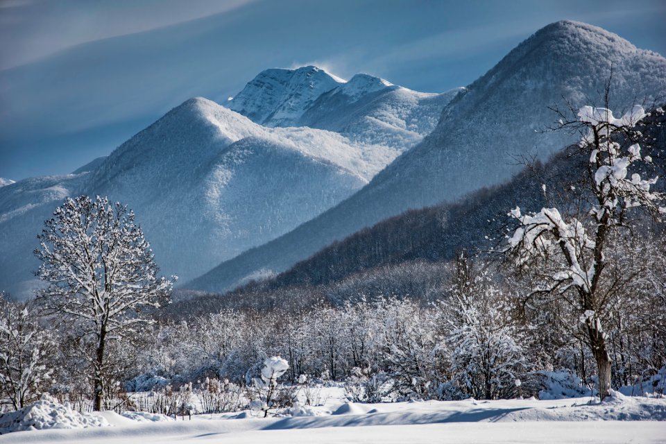 The snow photo