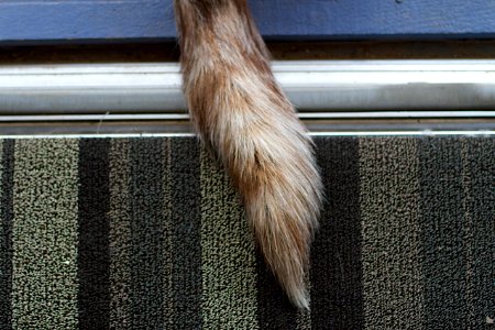 Tail Over The Threshold