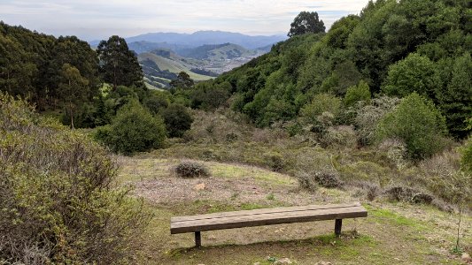 Bench at Siesta Nose at Skyline Gardens, overlooking the Wilder sports and housing complex.