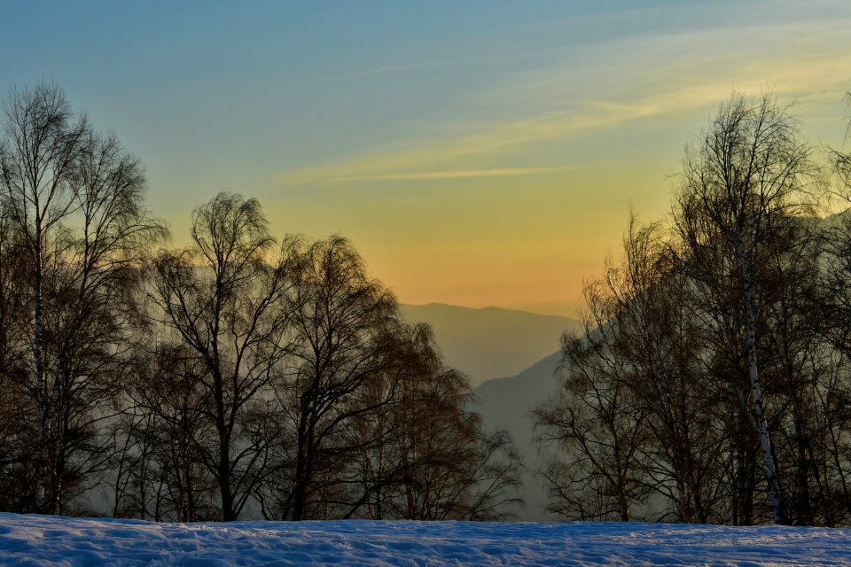 Silhouette at sunset photo