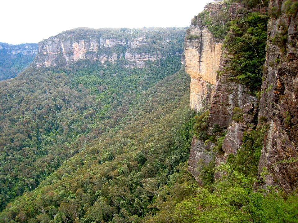 Looking Along the Walls of the Blue Mountains
