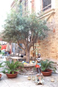 DSCF2545